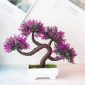 Plantas Artificiais Bonsai