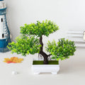 Plantas Artificiais Bonsai